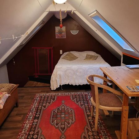 Maison très calme plein centre ville jardin Moëlan-sur-Mer Esterno foto